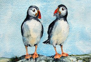 Tea Towel. ‘ 2 Puffins’