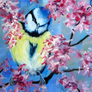 Bluetit in Cherry blossom