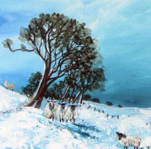 Winter woolies, Nigg Hill